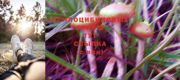 мет Алексин