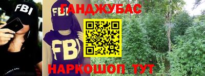 крисы Мариинск