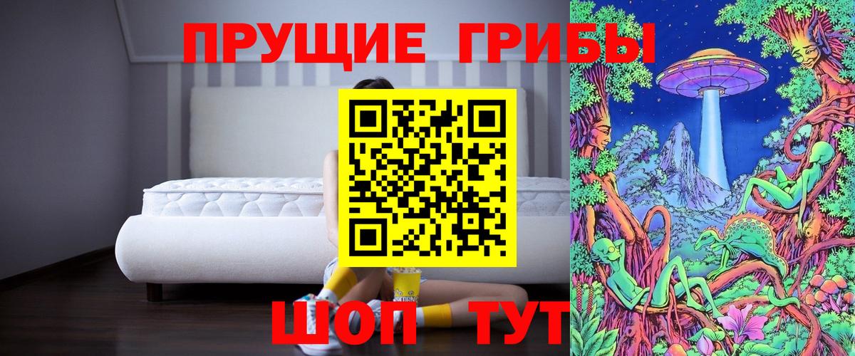 Клин  Псилоцибиновые грибы мицелий  закладки  Галлюциногенные грибы Magic Shrooms  Вход с VPN 